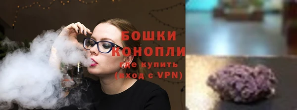 хмурый Ветлуга