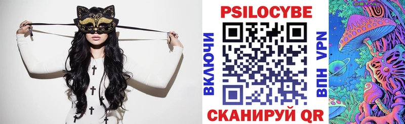 дарнет шоп  Гурьевск  Псилоцибиновые грибы мицелий 